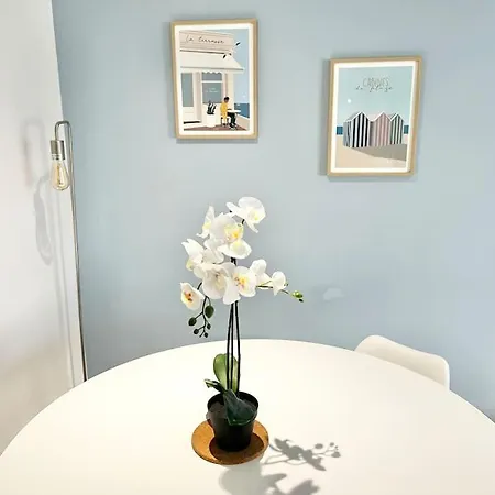 Meubles Saint Marc Apartment